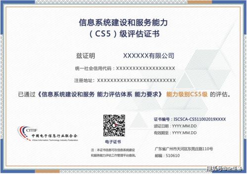 信息系统服务交付能力等级（CCID）解析