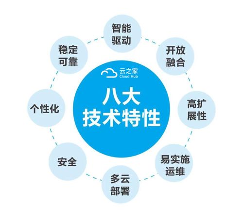 云之家荣膺SaaS智能协同“状元奖”，引领信息系统集成服务新篇章